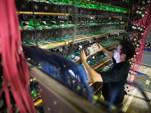 High-performance multi-GPU mining rig setup